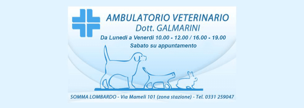 ambulatorio veterinario