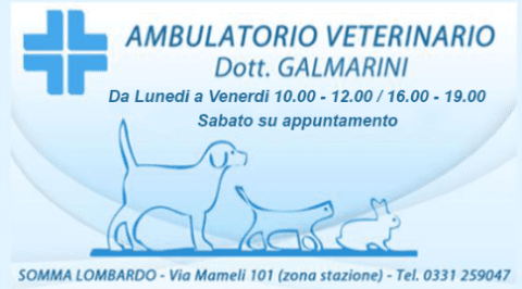 ambulatorio veterinario