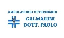 Ambulario Veterinario Galmarini Dott. Paolo
