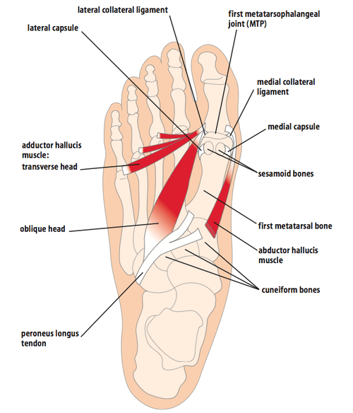 Big Toe