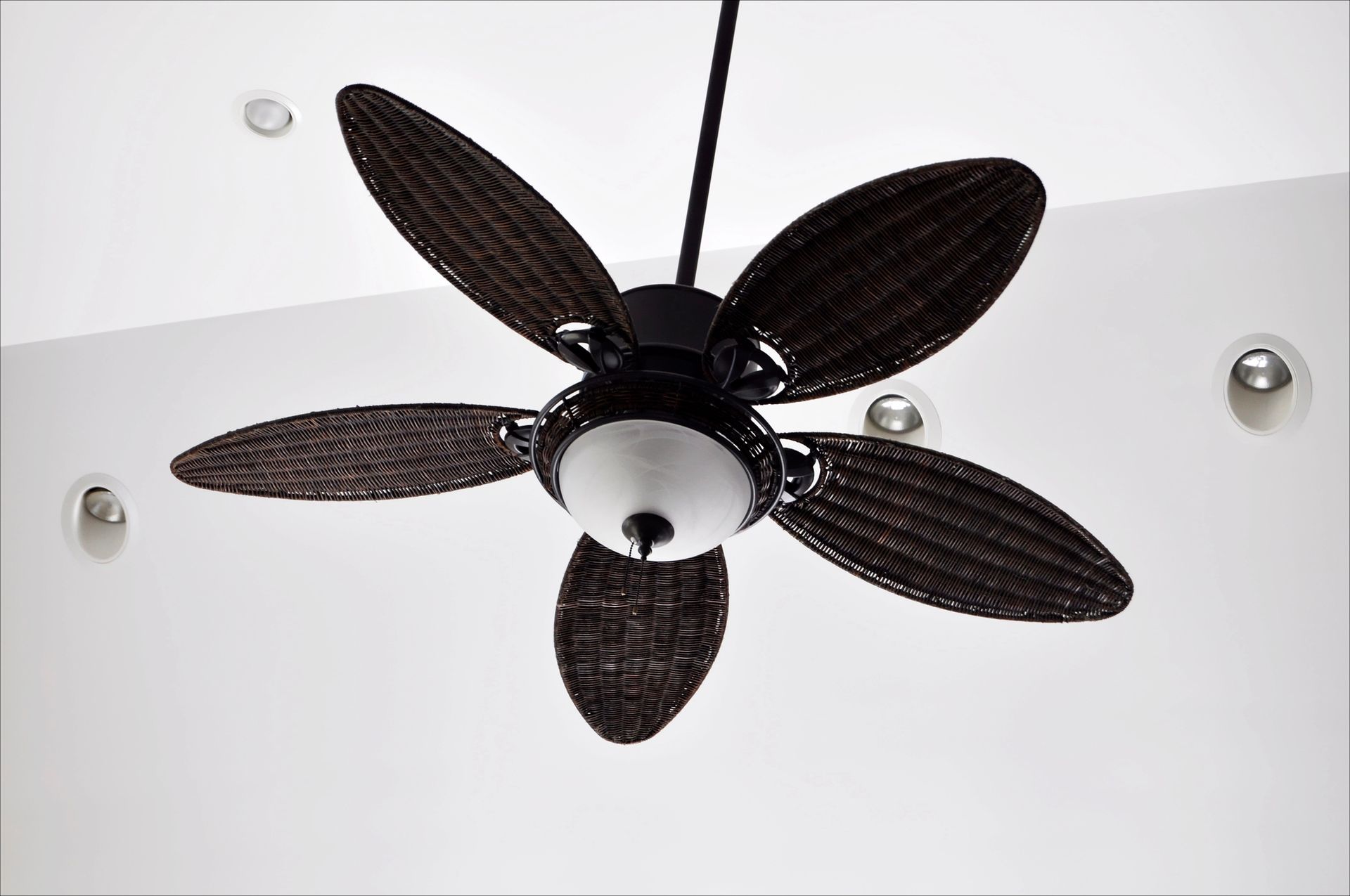 Ceiling Fans in Columbia, SC