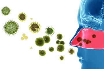 Pollen Allergy — Allergy Doctor in Altoona, PA