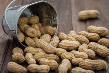 Peanuts — Allergy Doctor in Altoona, PA