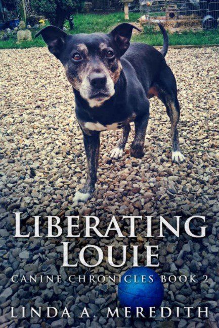 Liberating Louis by Linda A Meredith