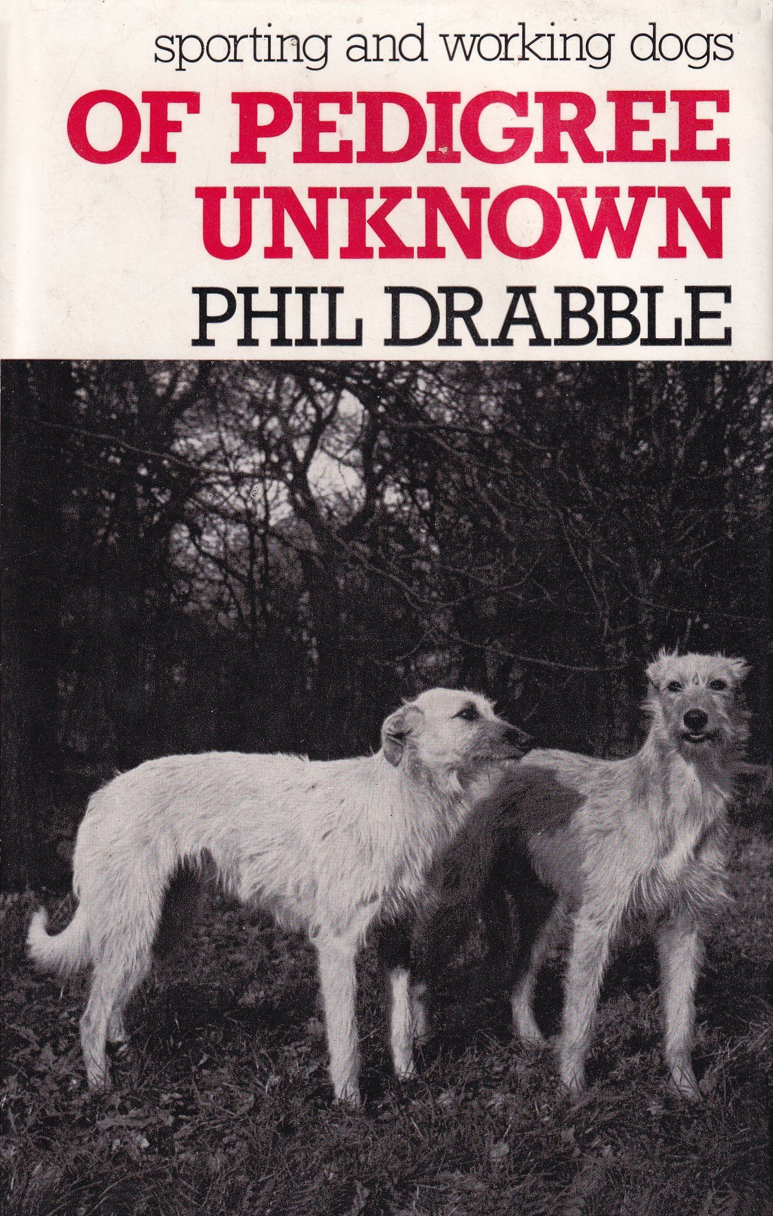 sporting and working dogs Of Pedigree Unknown by Phil Drabble