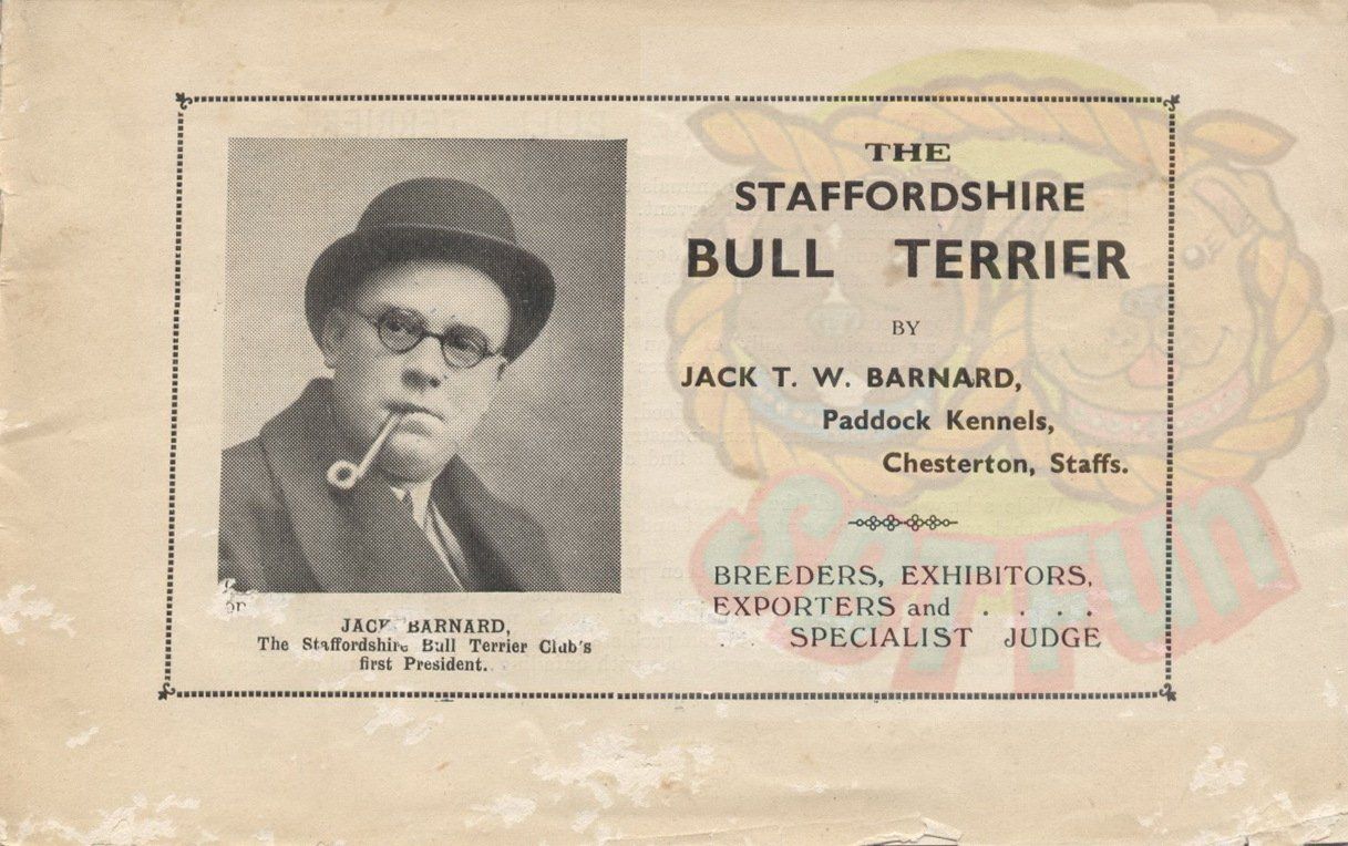 The Staffordshire Bull Terrier by  Jack Barnard