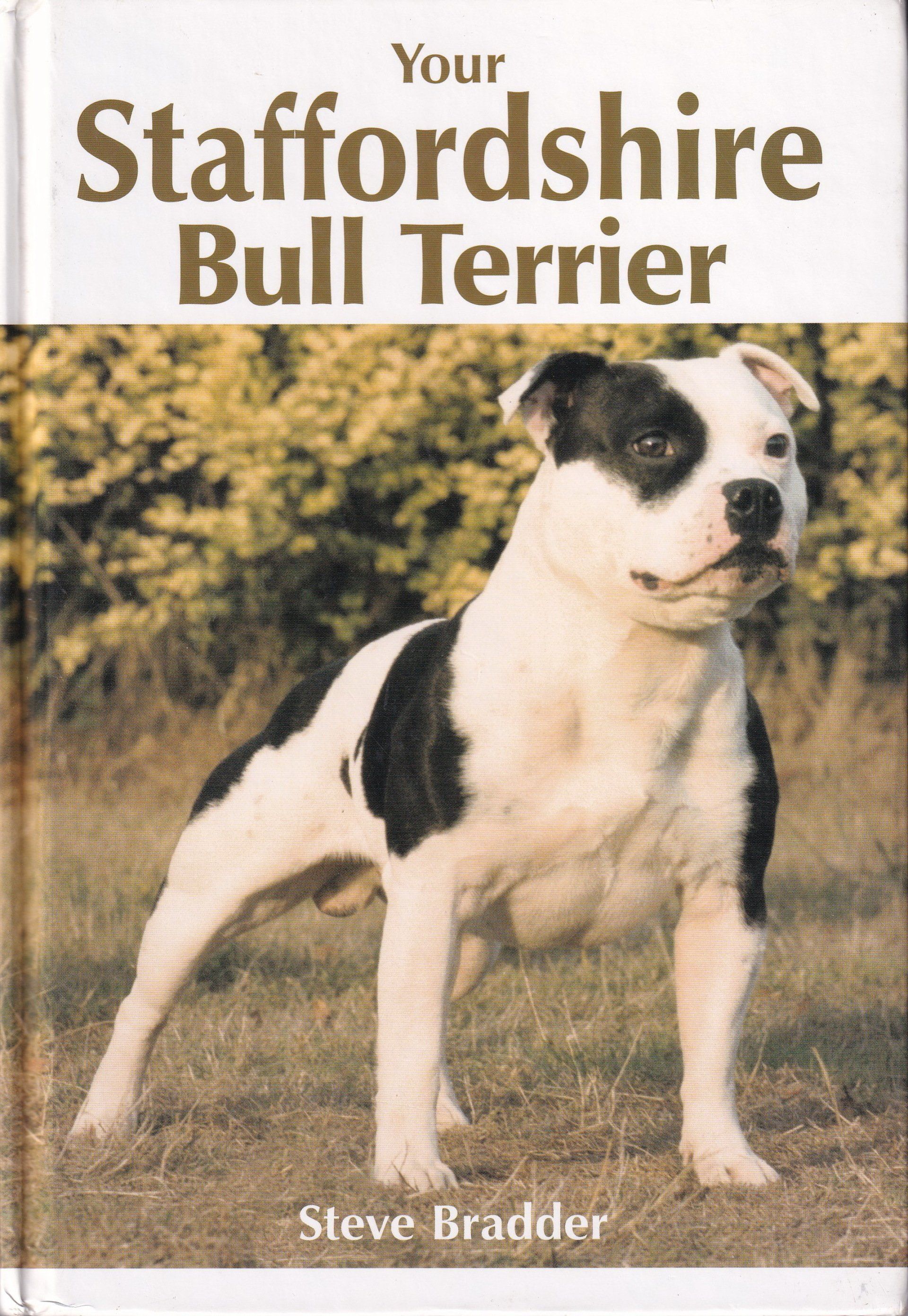 Your Staffordshire Bull Terrier by Steve Bradder