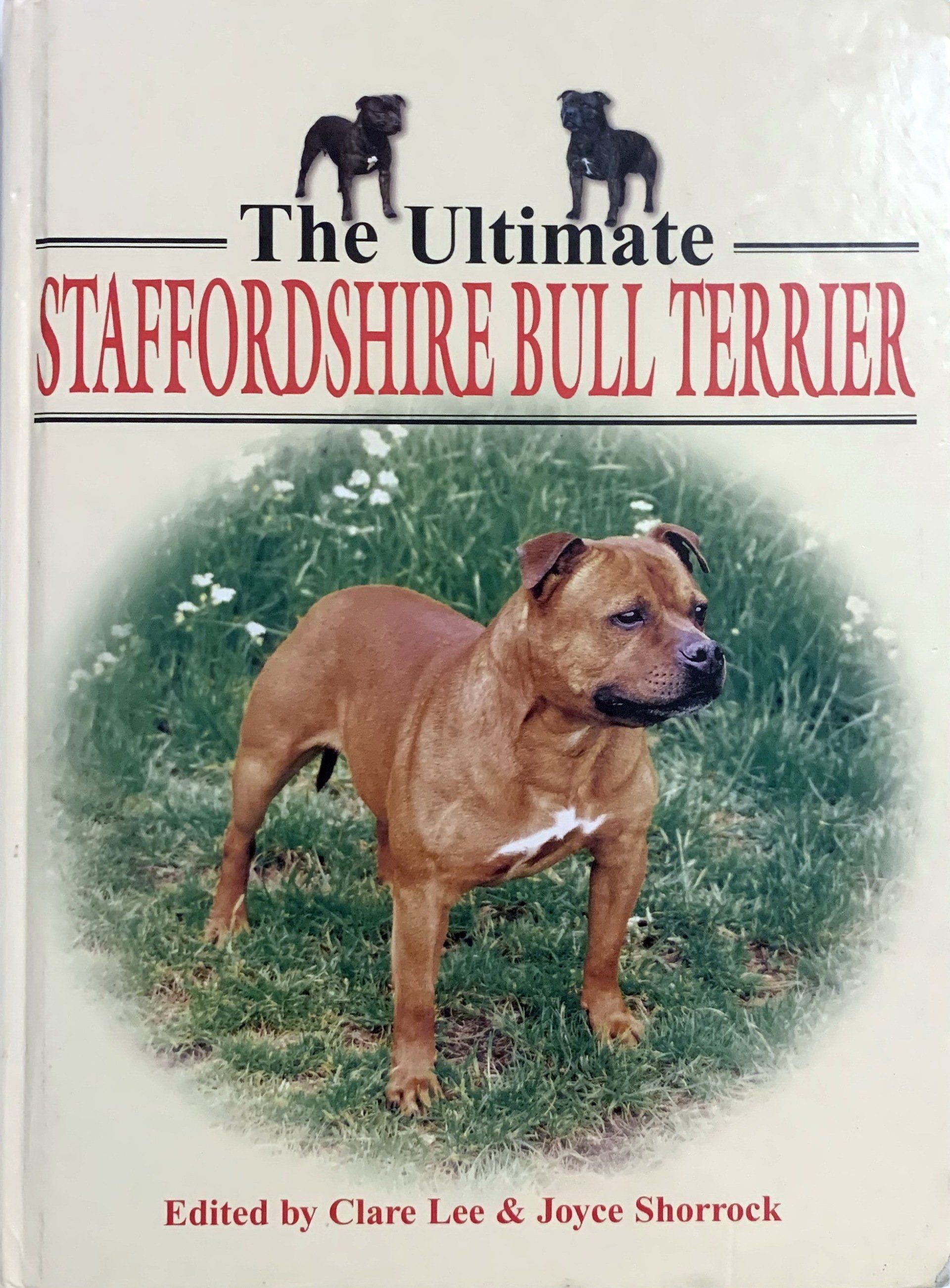 The Ultimate Staffordshire Bull Terrier by Clare Lee & Joyce Shorrock