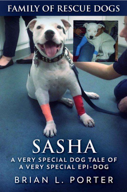 Sasha - a very special dog tale of a very special epi-dog by Brian L Porter
