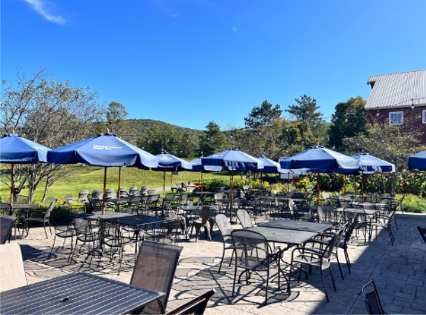 Outdoor patio with blue umbrellas and metal tables, overlooking a grassy field and mountains.