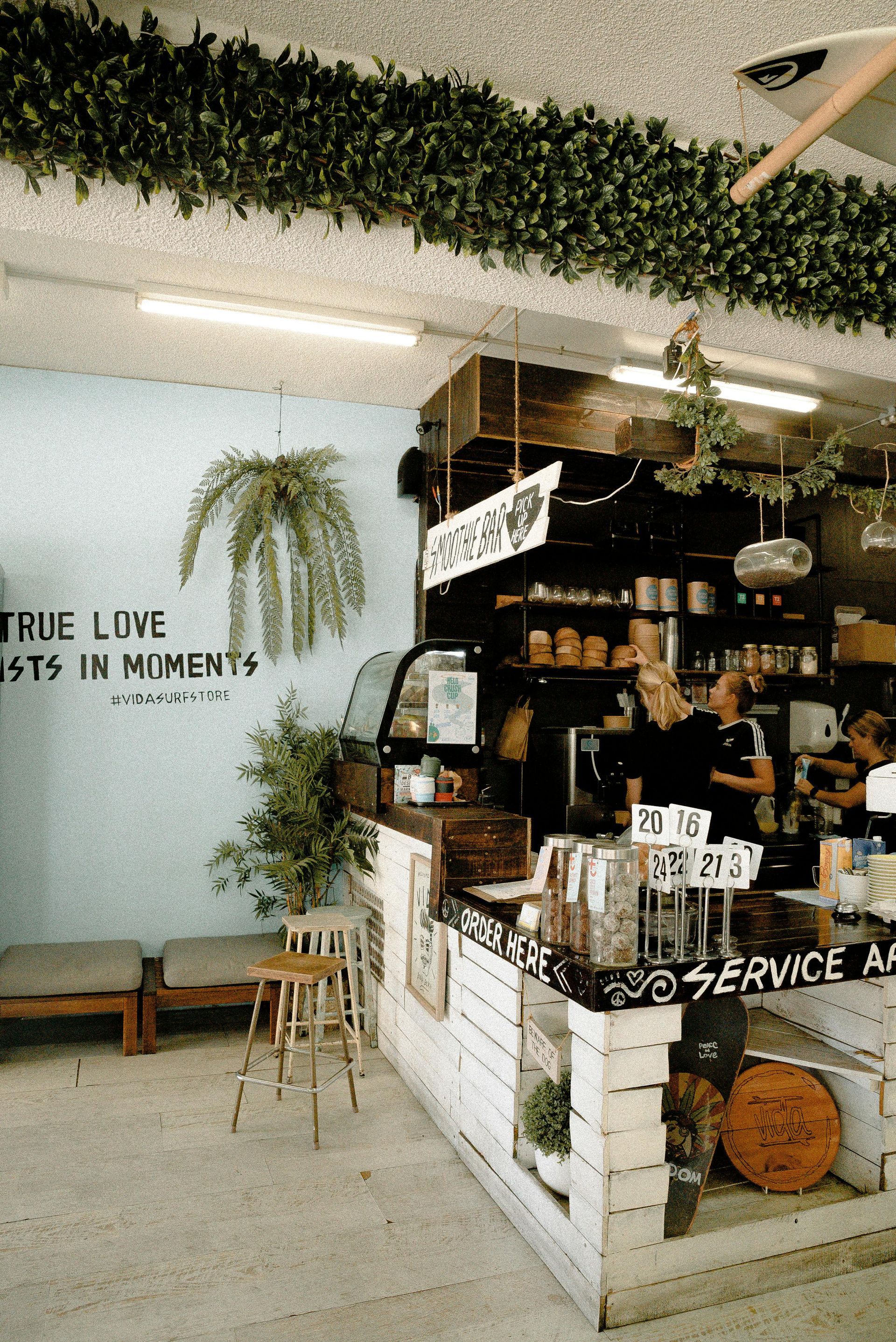 Cafe interior: counter with service sign, blue wall with fern art, greenery decor.