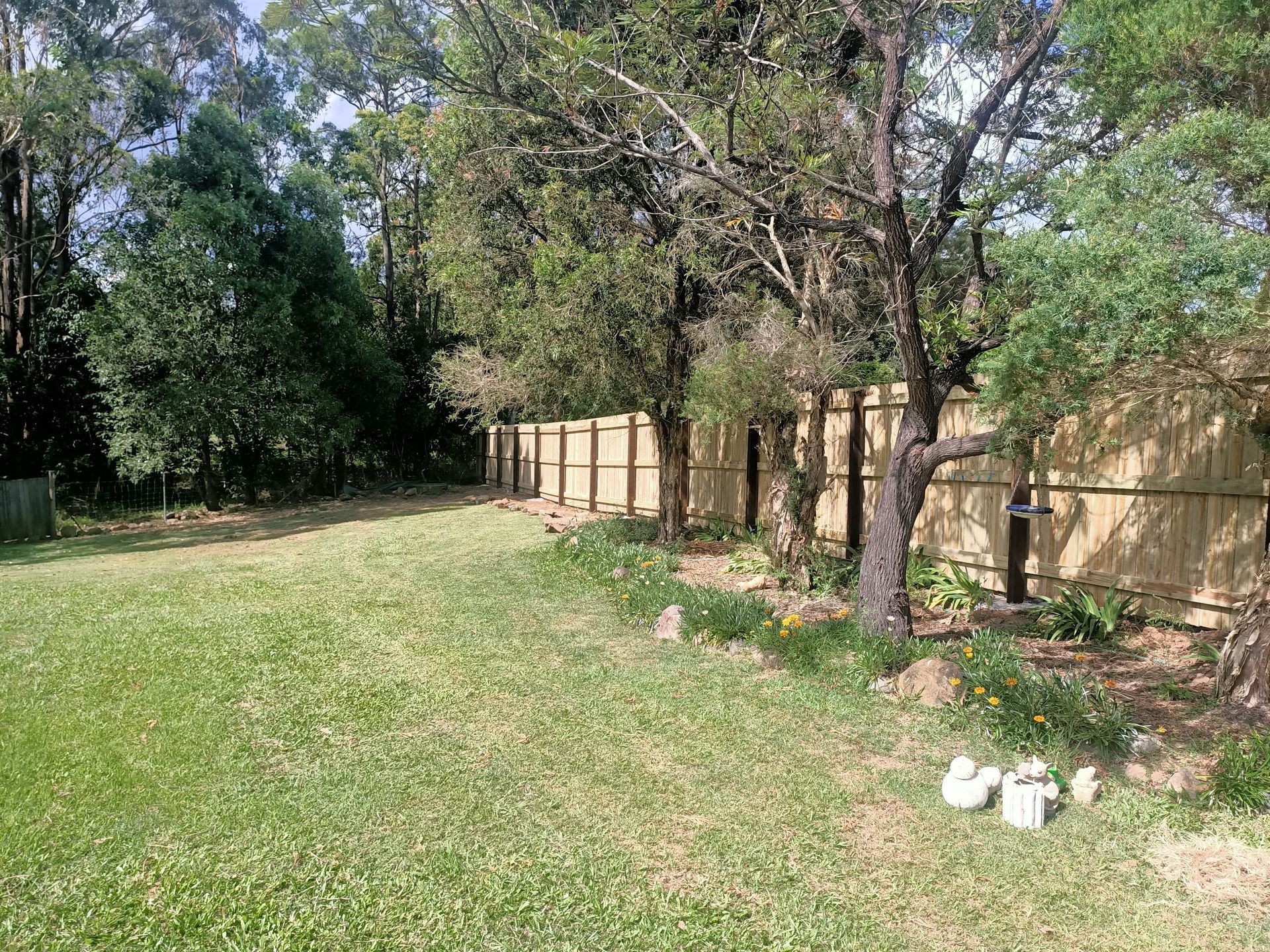 Grassy backyard with a bamboo fence, trees, and small flower patch — Quality Fences 4 U in Gympie, QLD