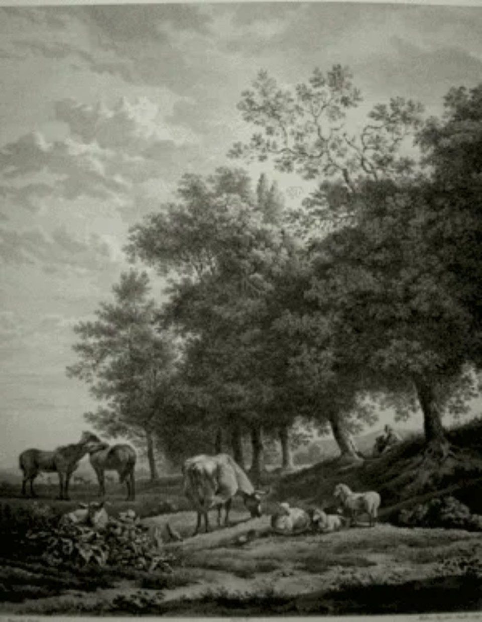 stampe antiche esclusive