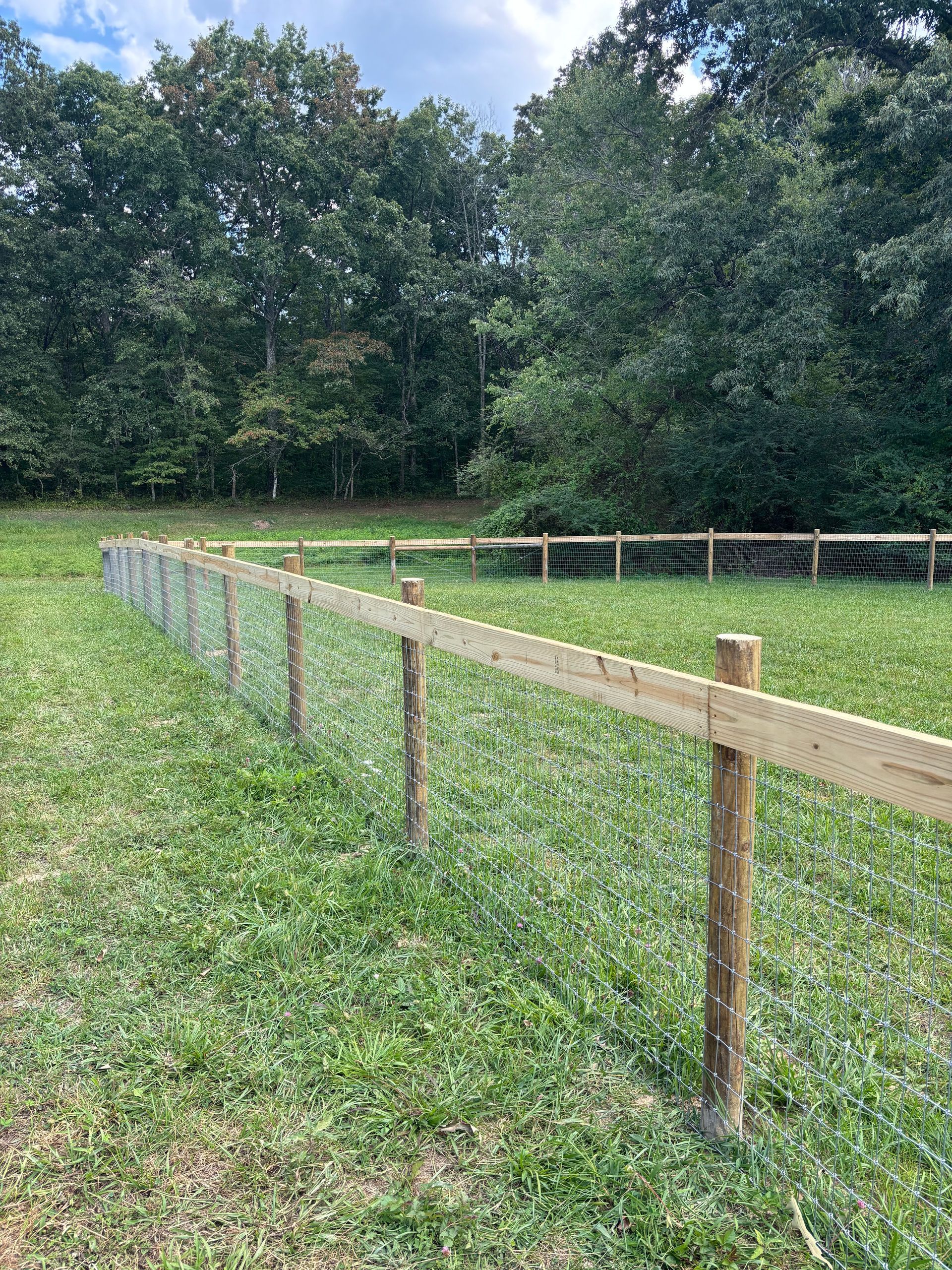 A wooden fence surrounds a grassy field with trees in the background.