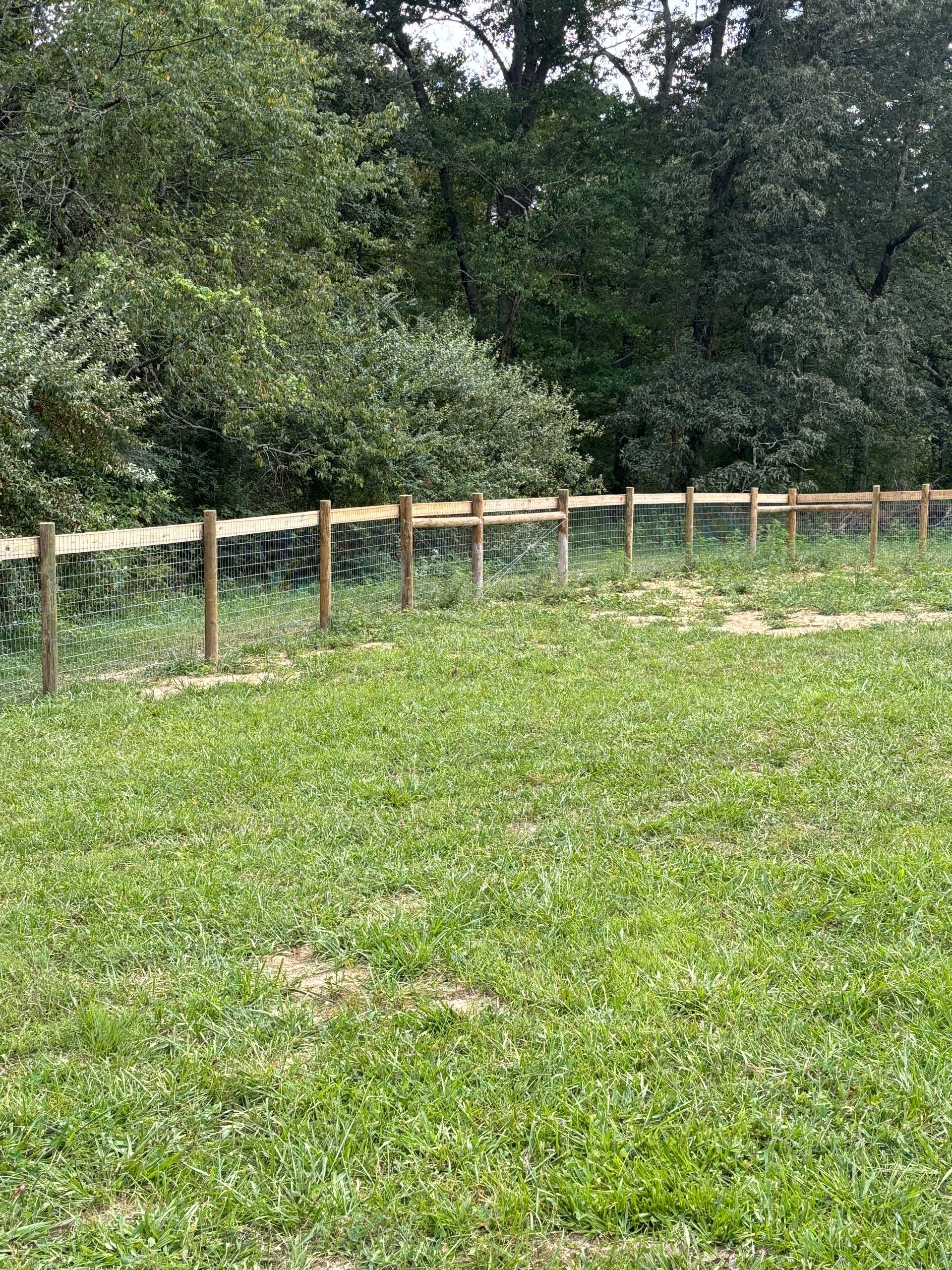 A wooden fence surrounds a grassy field with trees in the background.