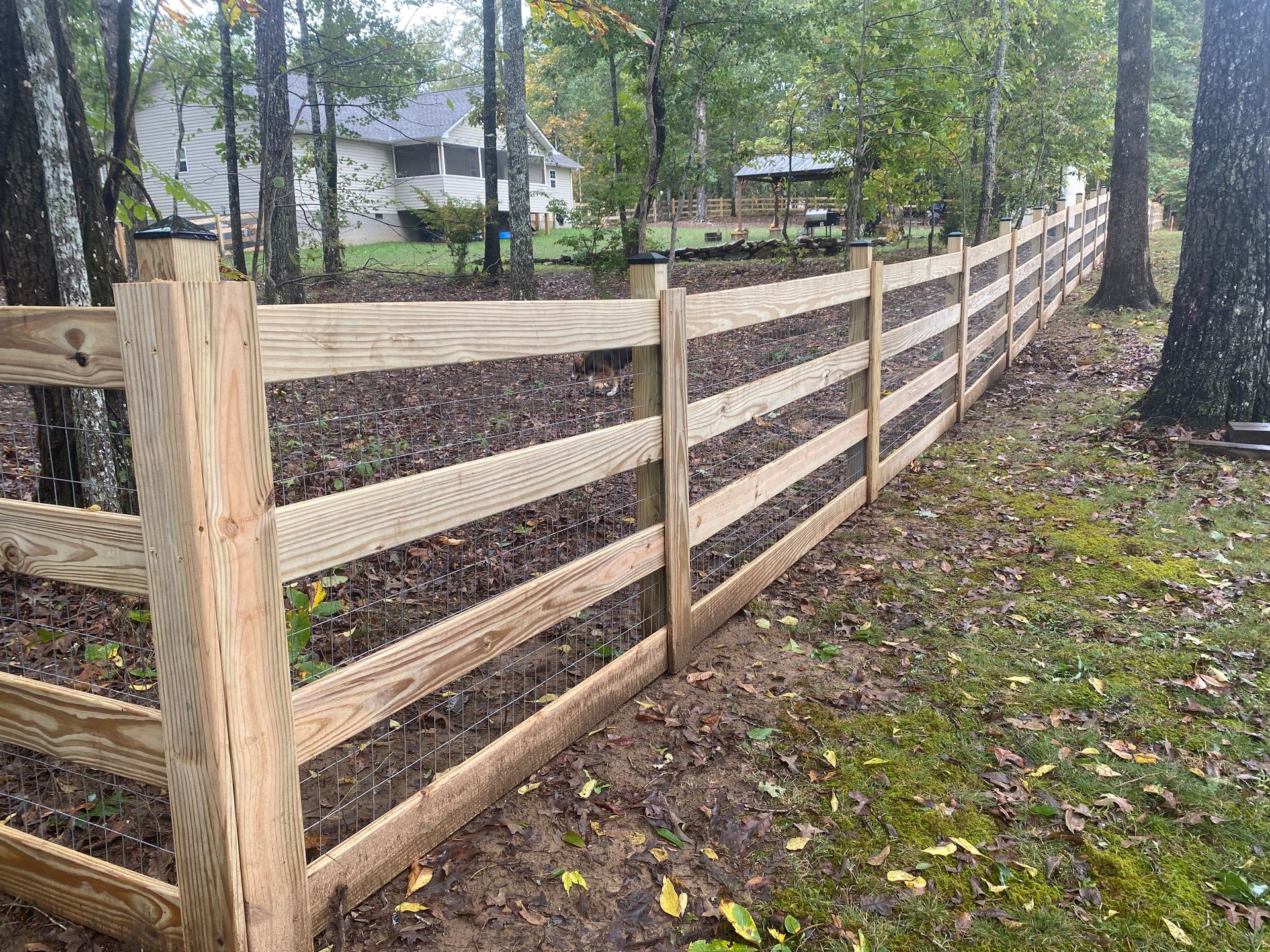 A wooden fence is surrounded by trees in a yard.