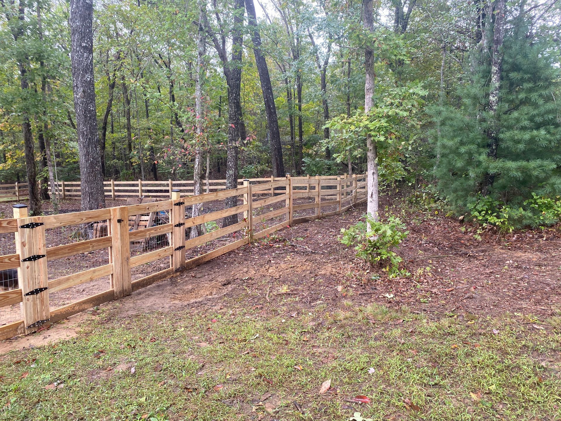 A wooden fence surrounds a grassy field in the middle of a forest.