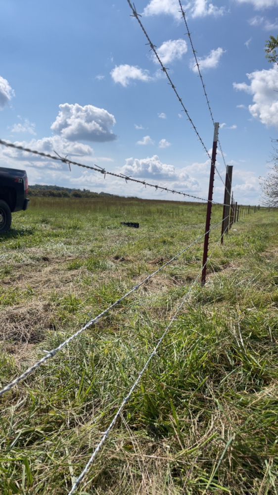 A barbed wire fence is in the middle of a grassy field.