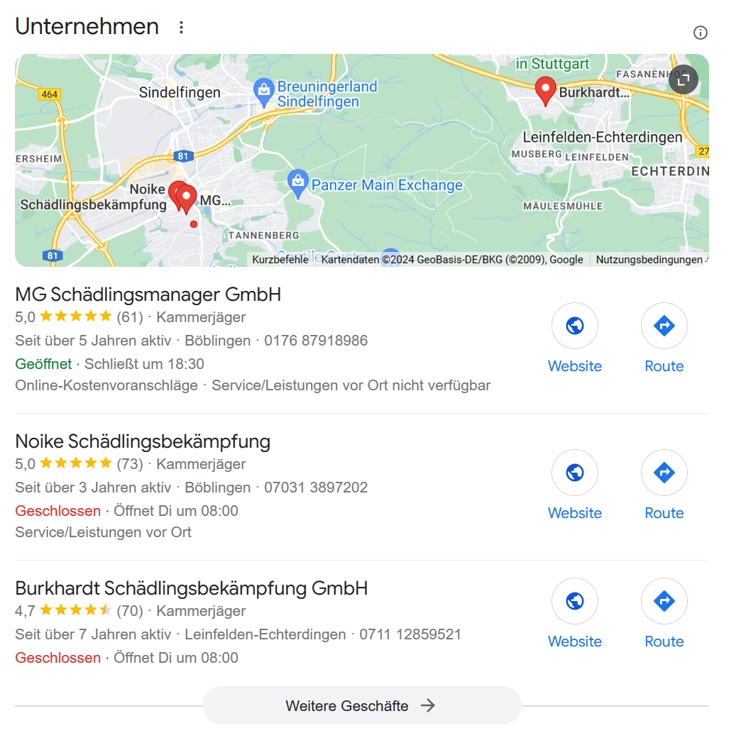 Google Business Ergebnisse