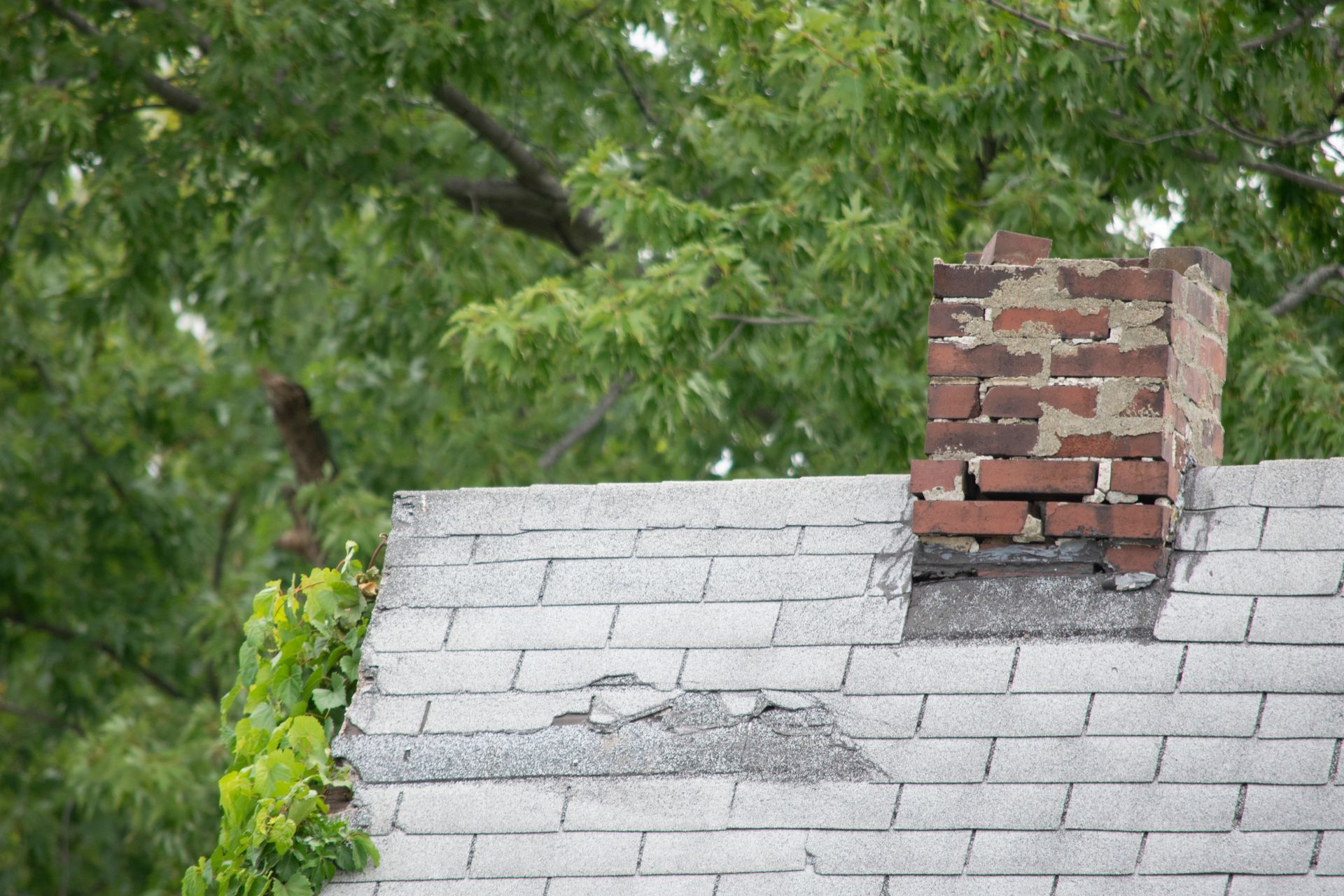 Damaged roof with bad shingles – Macungie, PA - Anytime Todd's Chimney Sweeping