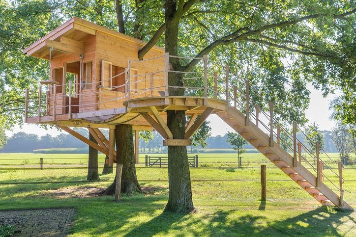Wooden tree house built around several trees, with a ramp.