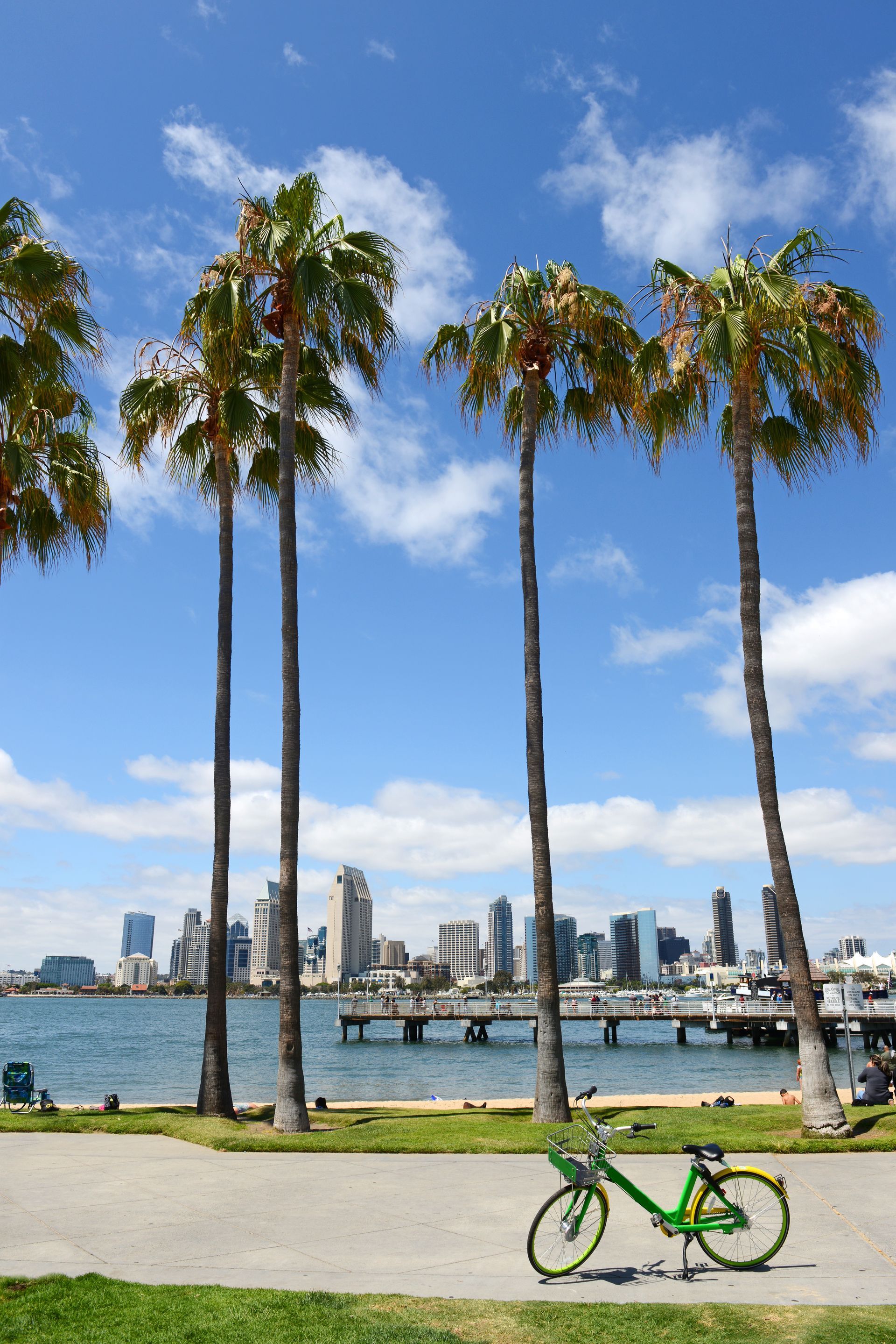 A green bicycle is parked in front of palm trees