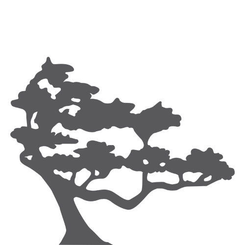 Torrey Pines Property Management    
