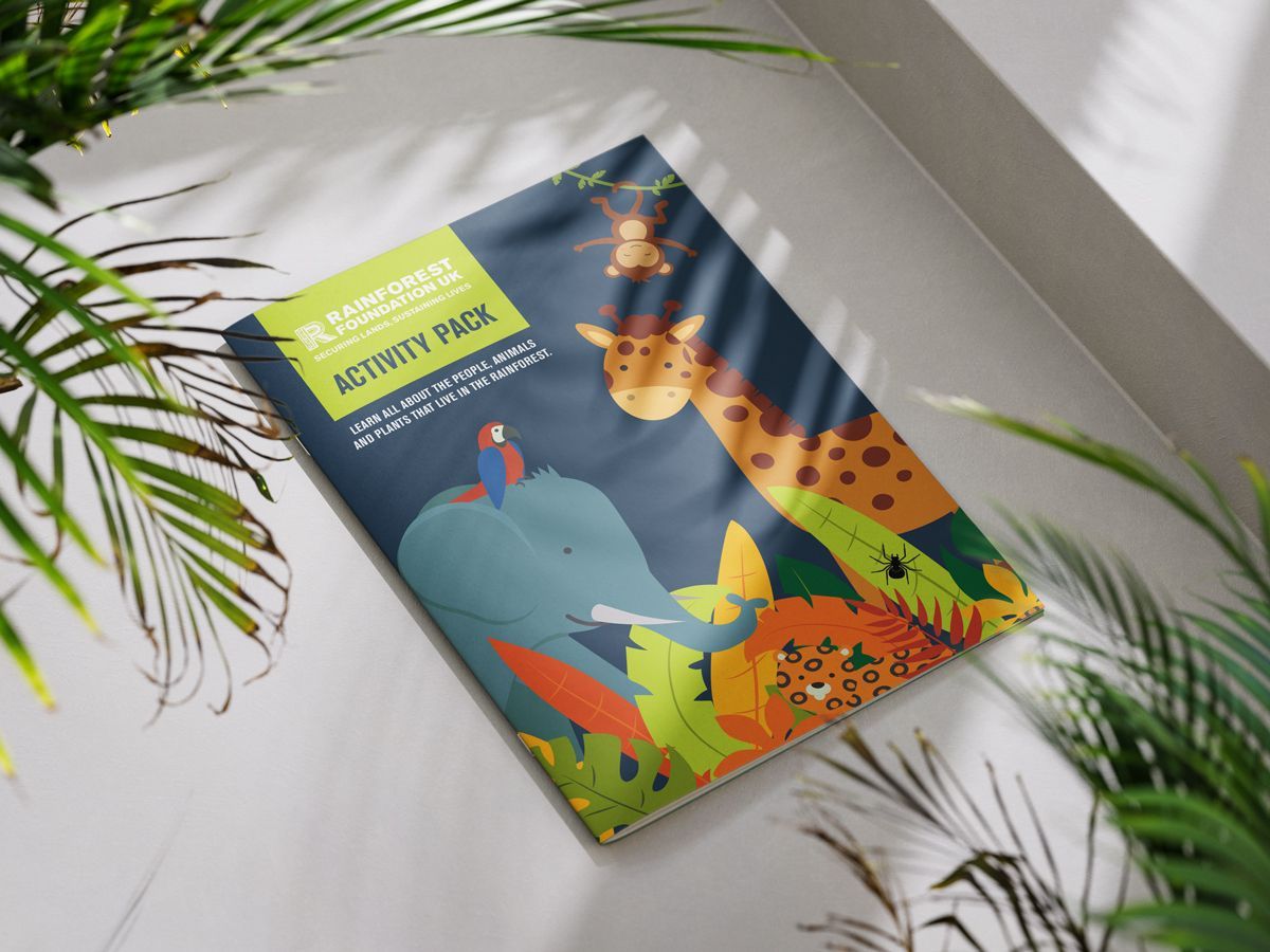 Activity Pack for Rainforest Foundation which shows animals on the cover and is sitting on a table surrounded by plants.