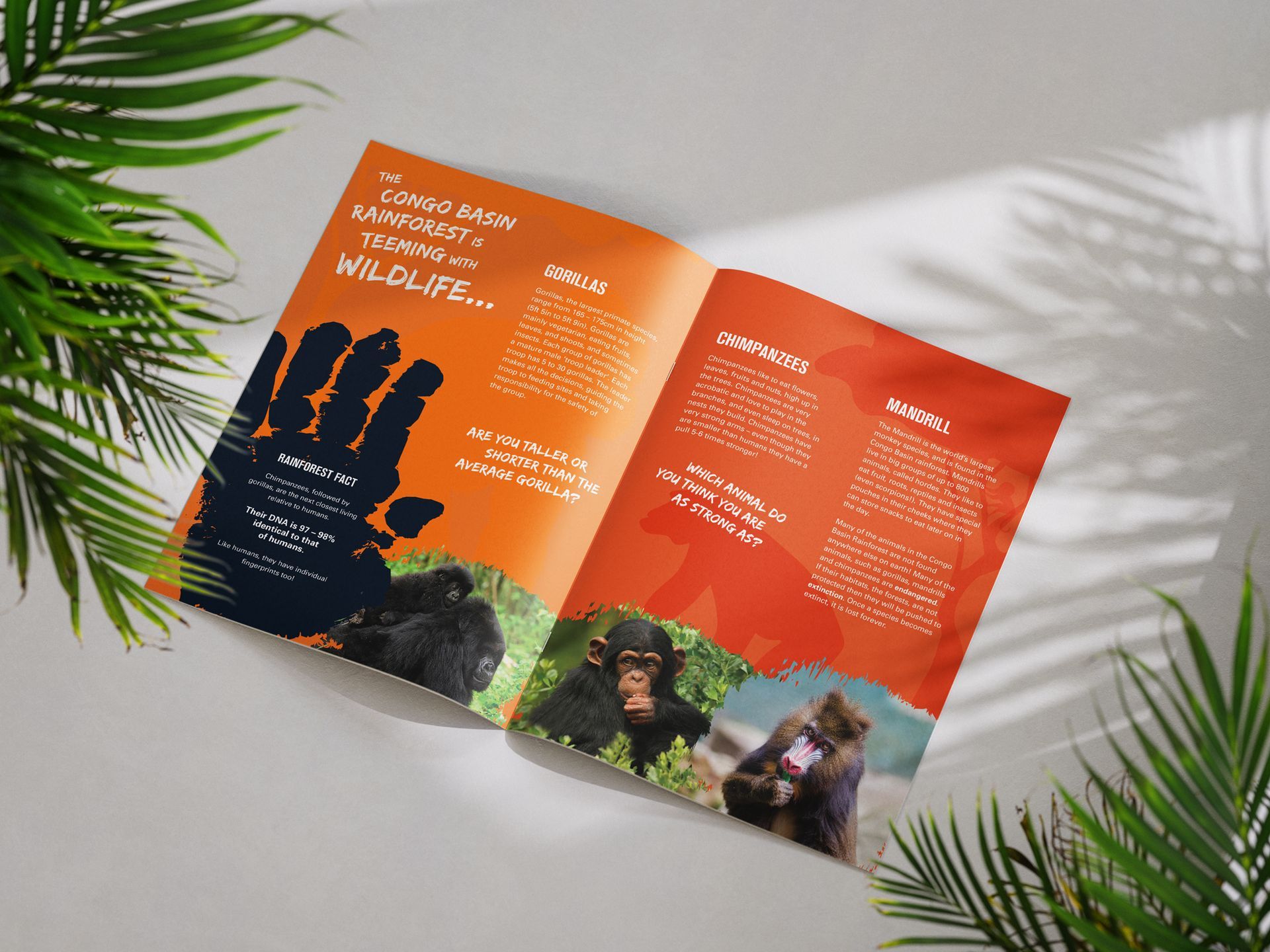 A brochure about wildlife is open to a page with a hand print on it.