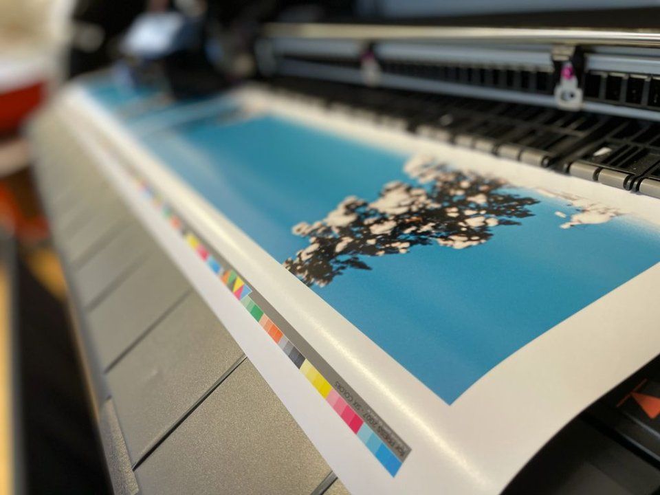 Stampante professionale