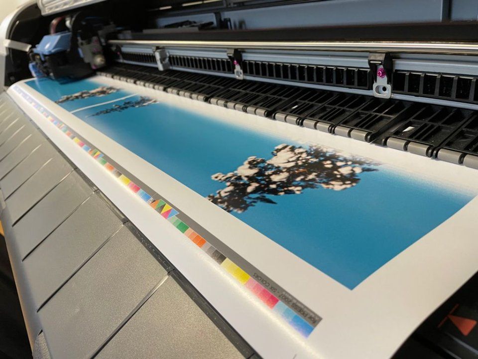 Stampa professionale