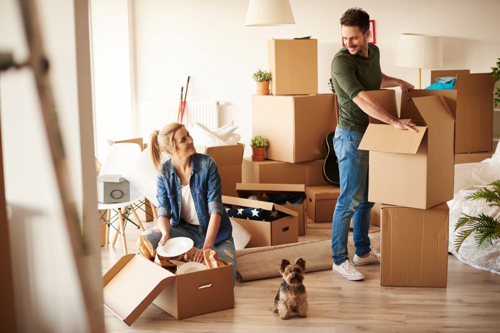 Couple unpacking boxes in a bright room with a dog looking on.