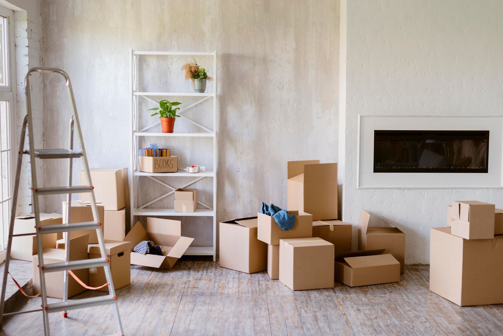 Room with moving boxes, ladder, and shelf with plants, preparing for a move.