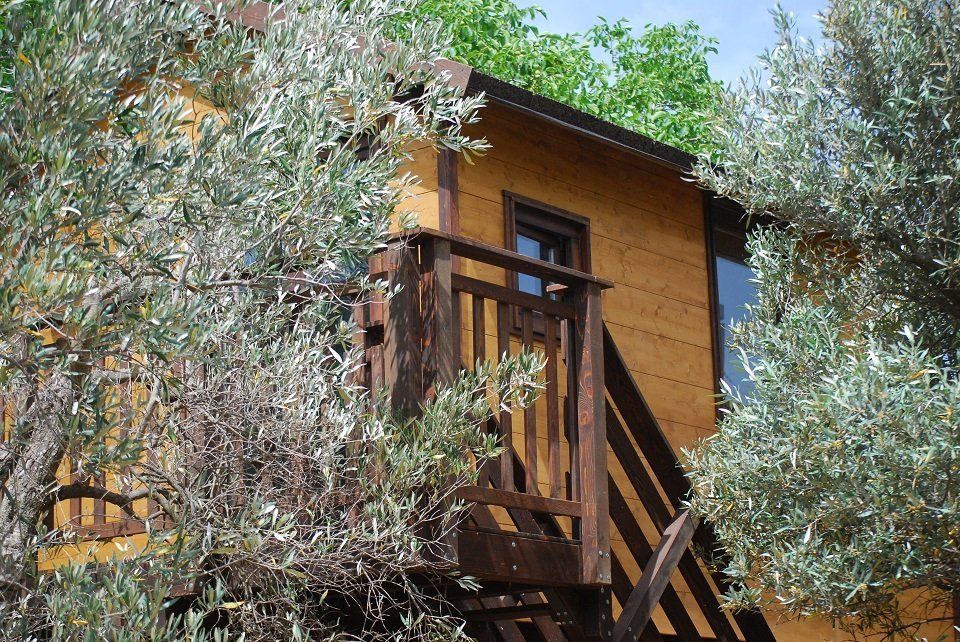 soggiorno vacanza nella casa sull'albero