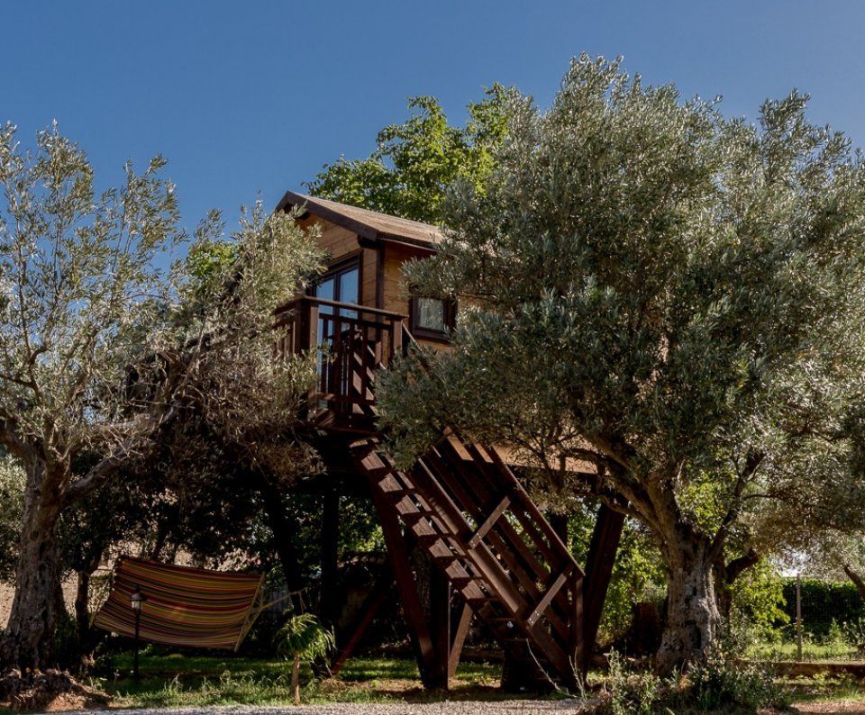 vacanza relax nella casa sull'albero