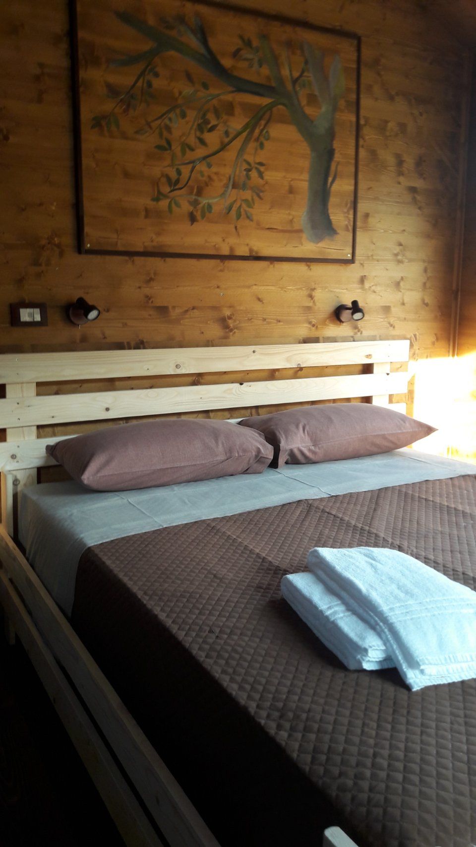 camere in affitto in casa sull'albero