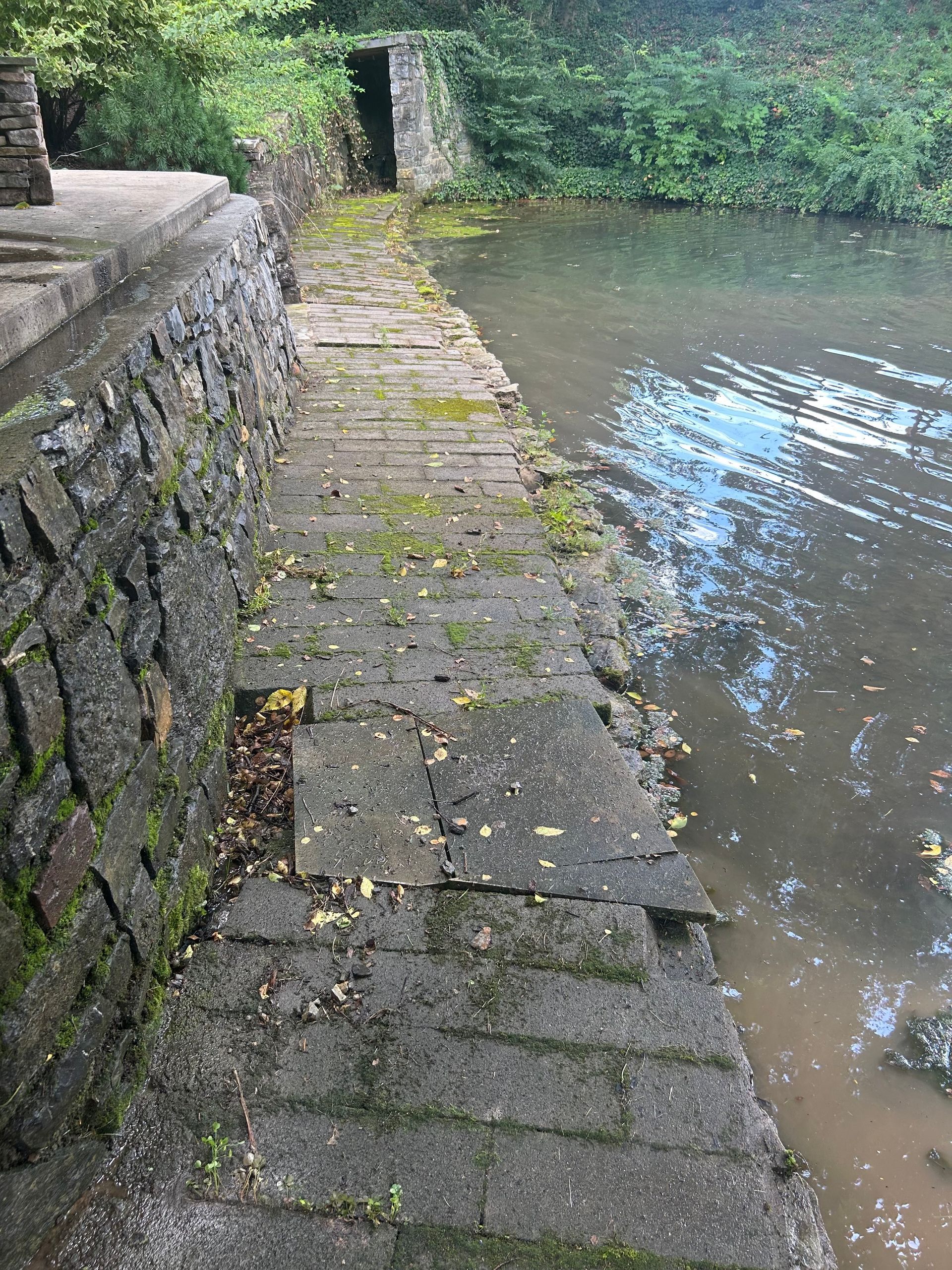 Austin and Sons Surface Protection AZ. One Applicaton. 10-Year Warranty.