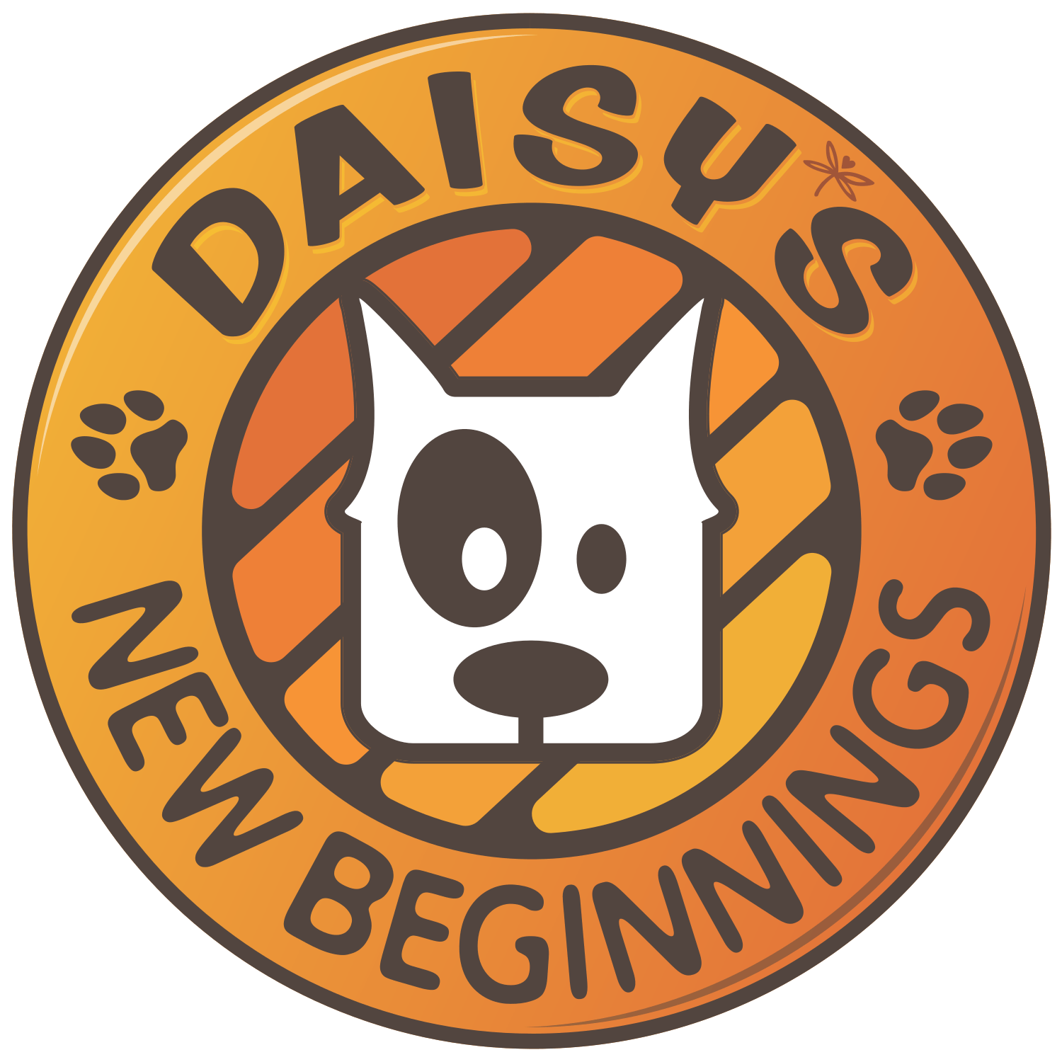 Daisy's New Beginnings