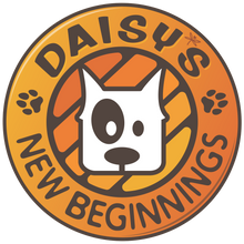 Daisy's New Beginnings