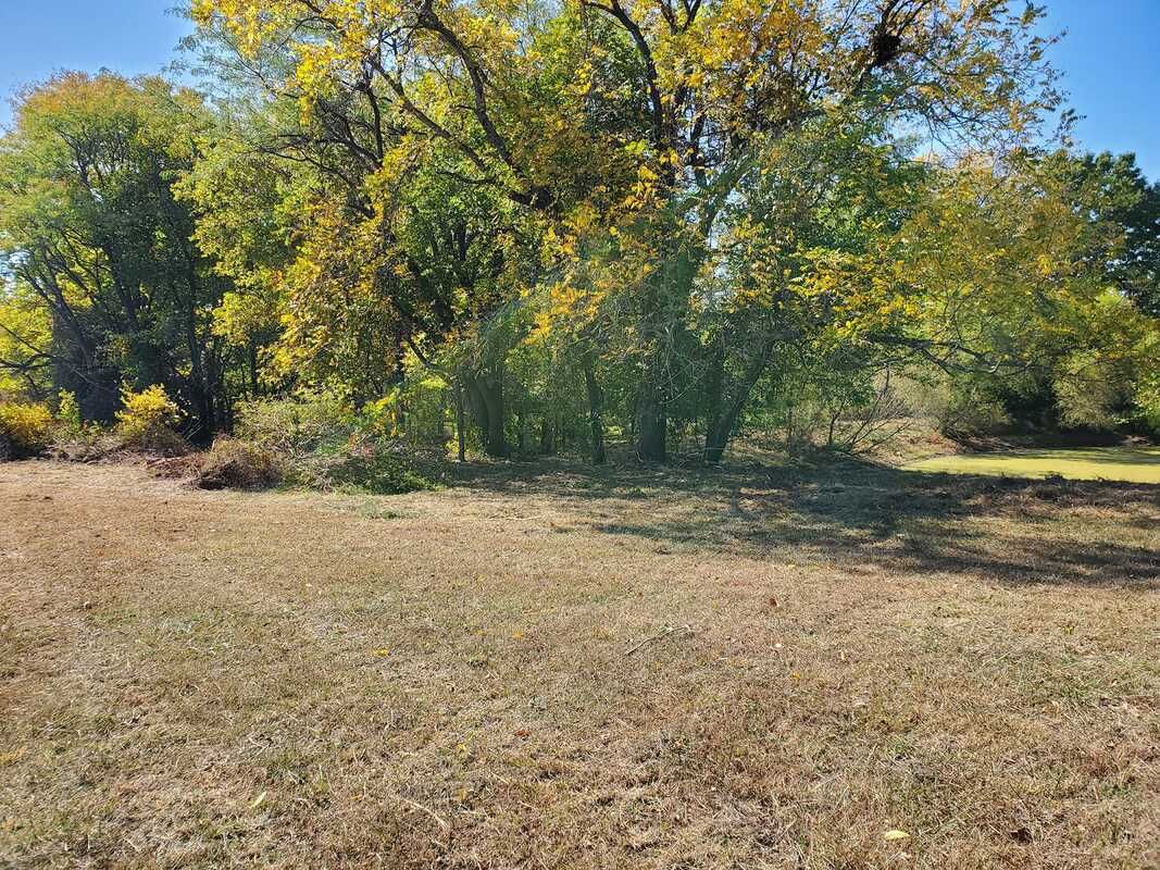 A field with trees in the background and a lot of dry grass.