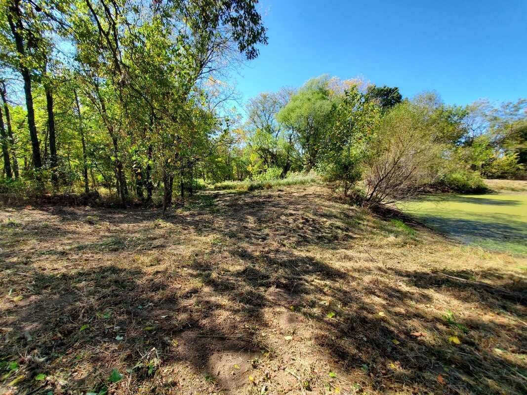 A dirt field surrounded by trees on a sunny day.