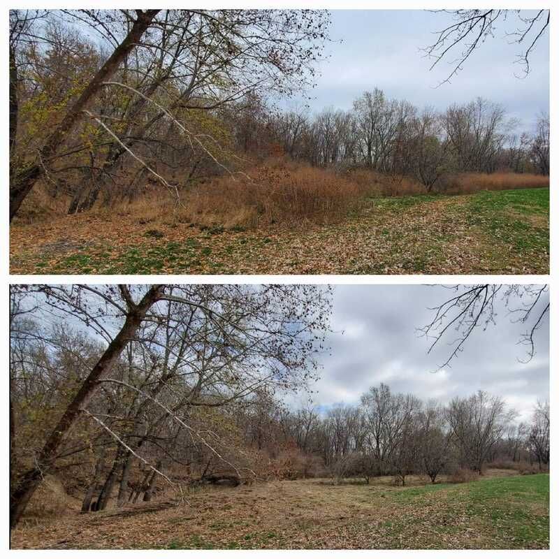 A before and after picture of a field with trees and grass