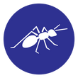 fire ant removal icon