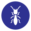 termite removal icon