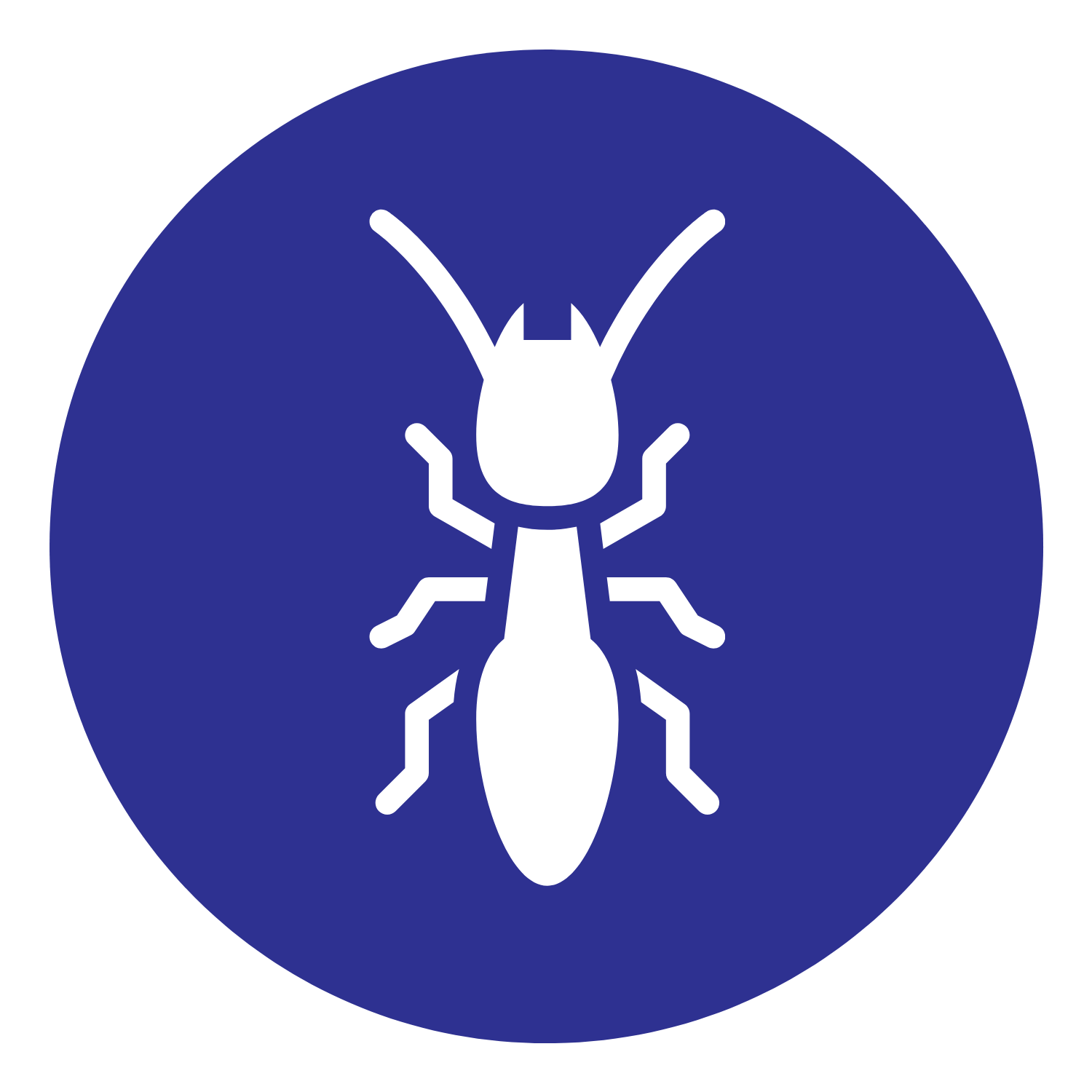 termite removal icon