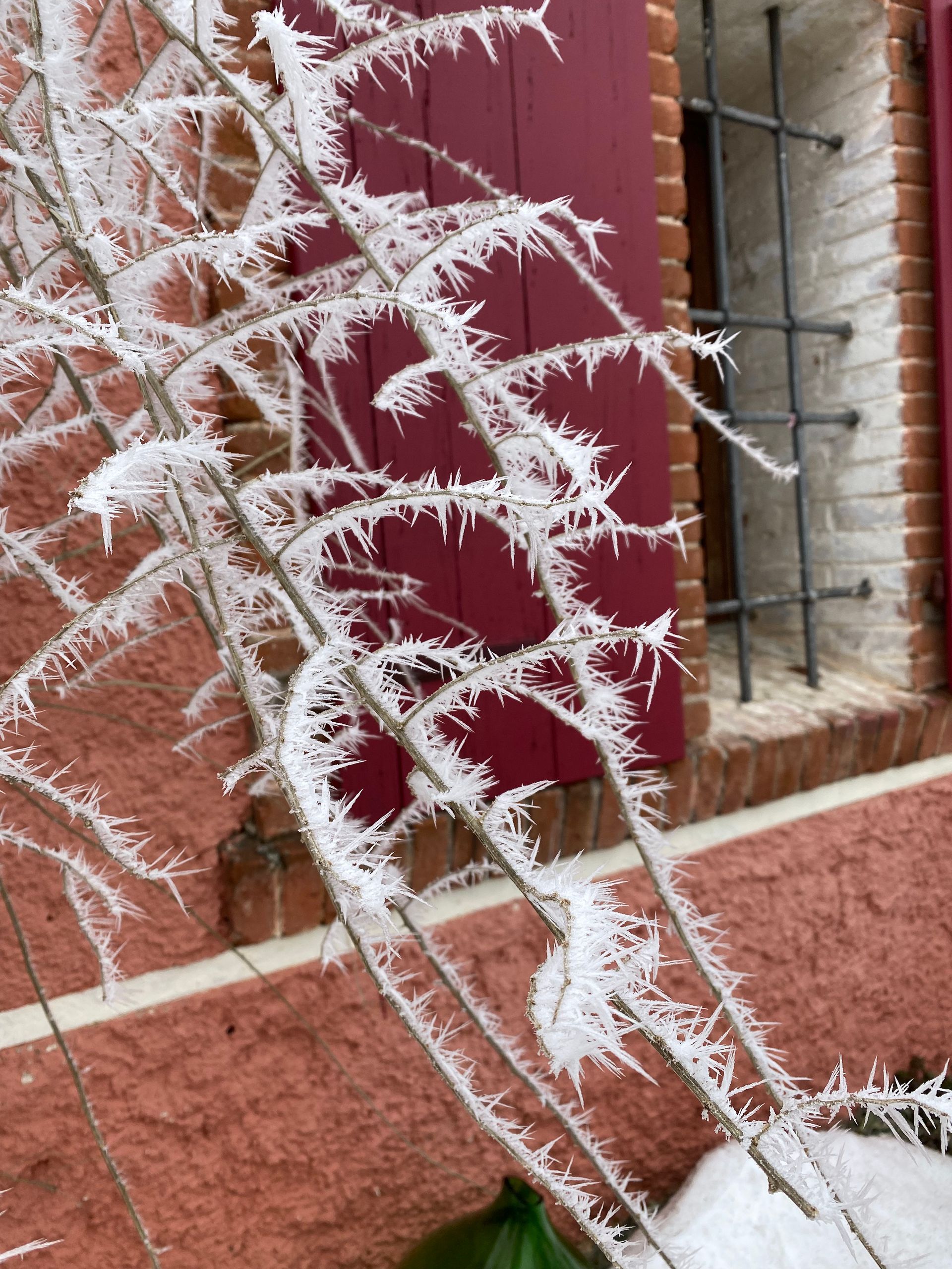 Rifugio Alpemadre _ neve