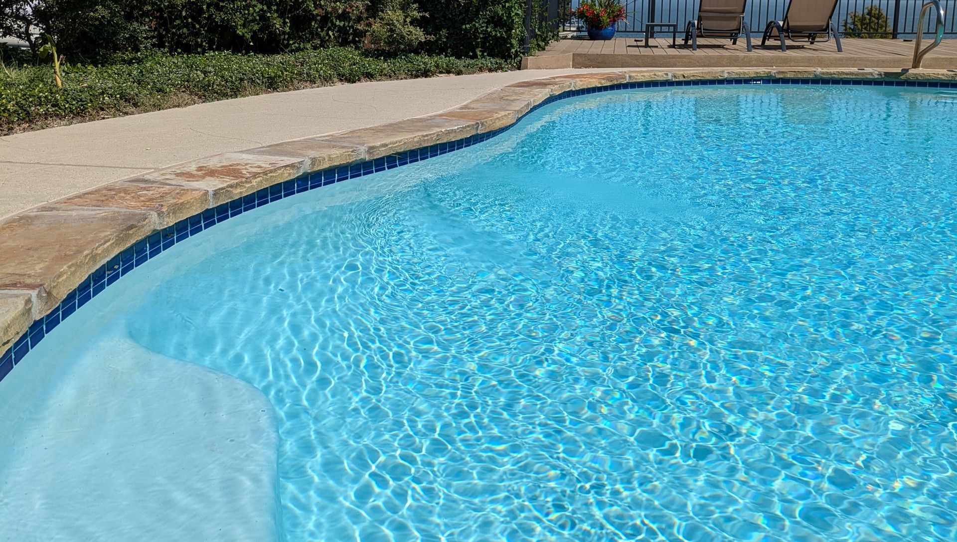 A large swimming pool filled with blue water in a backyard.