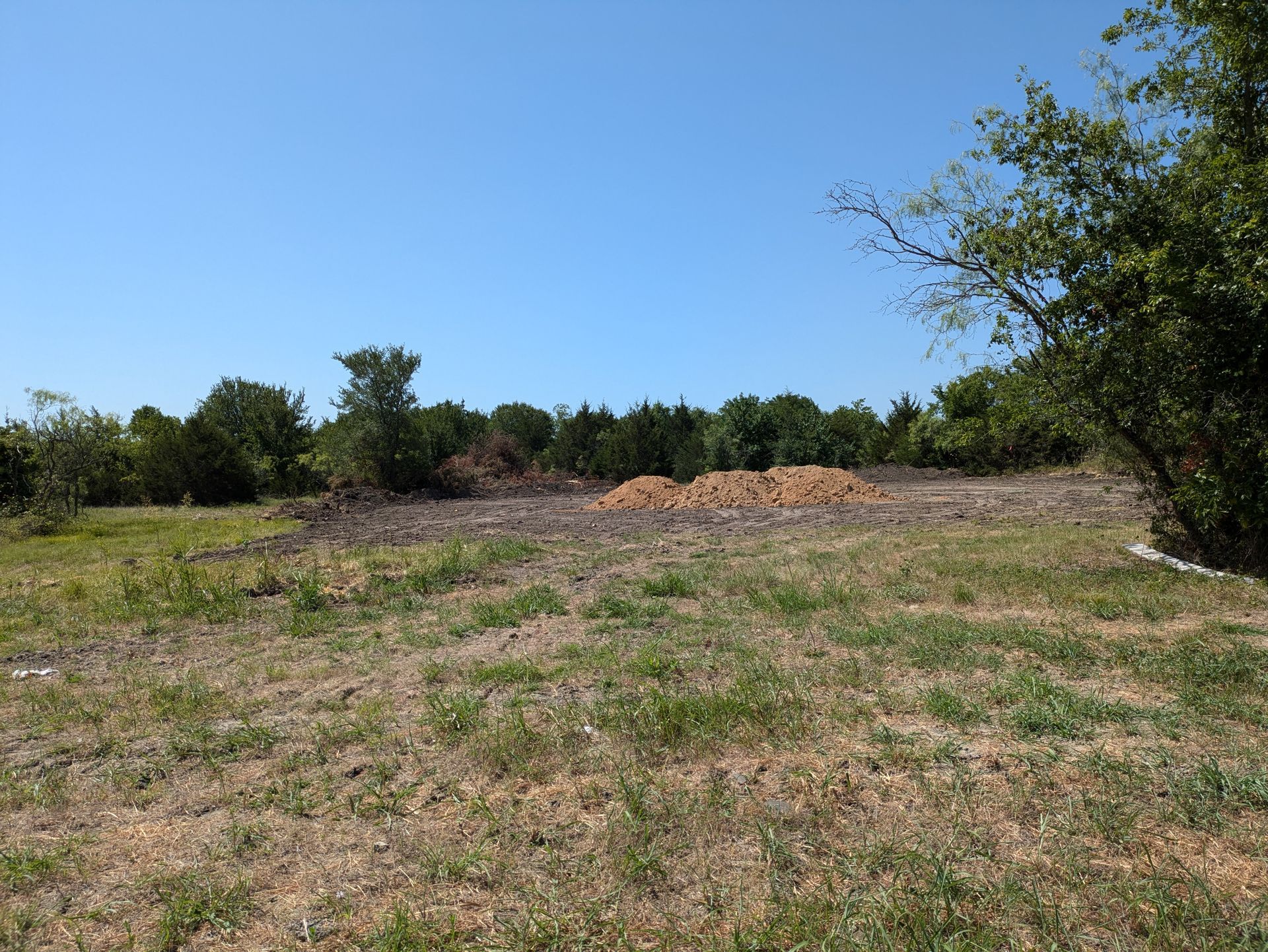 Grassy field with cleared area in the center and trees in the background, under a blue sky.