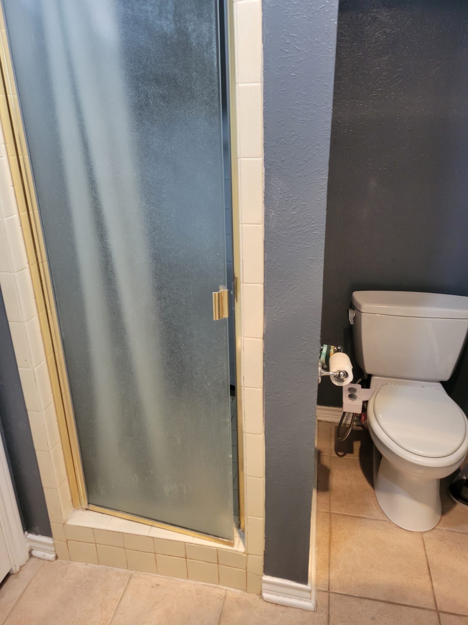 Bathroom with frosted glass shower door, toilet, and gray walls; beige tile floor.