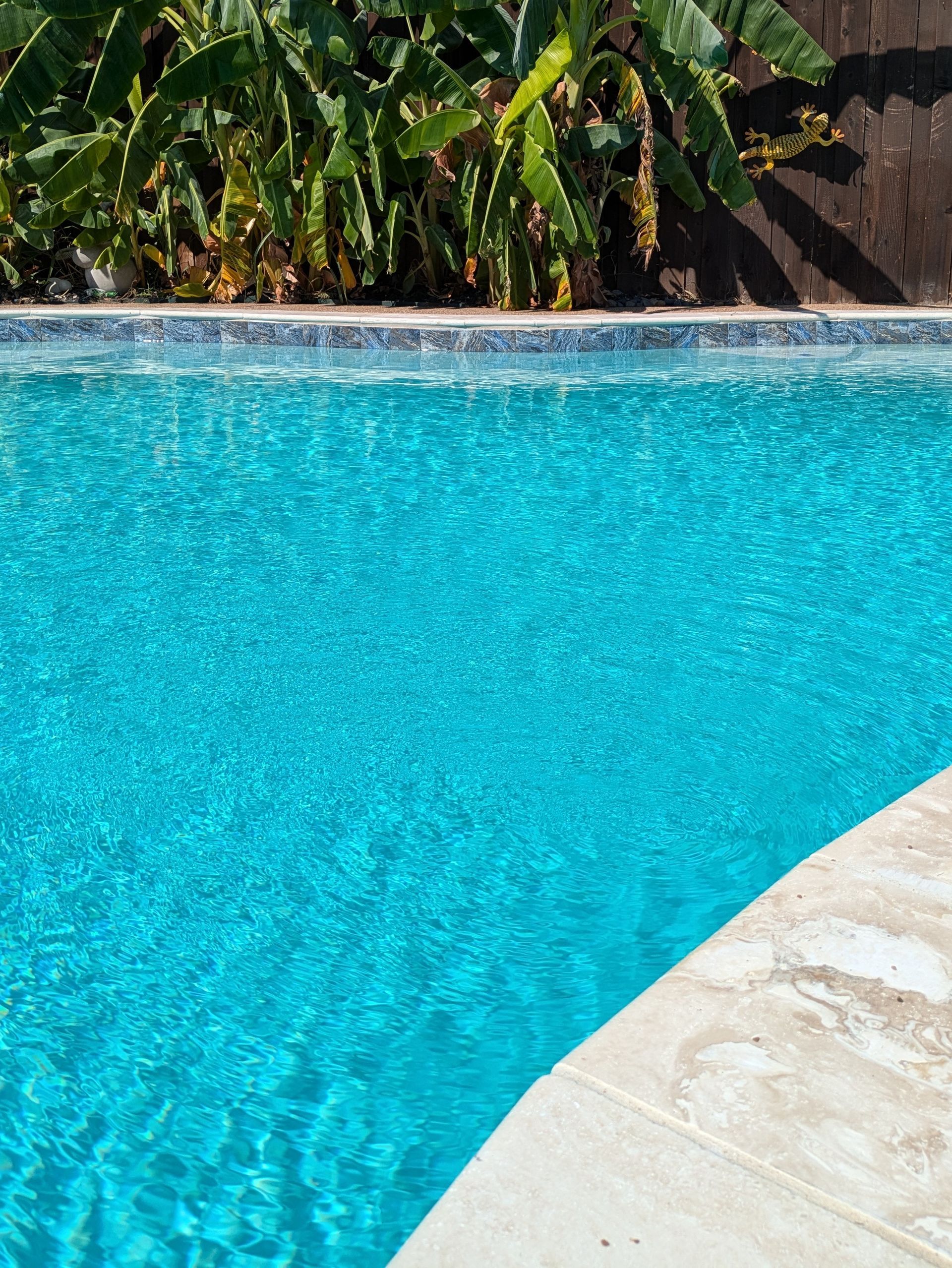 A swimming pool with blue water and a white border